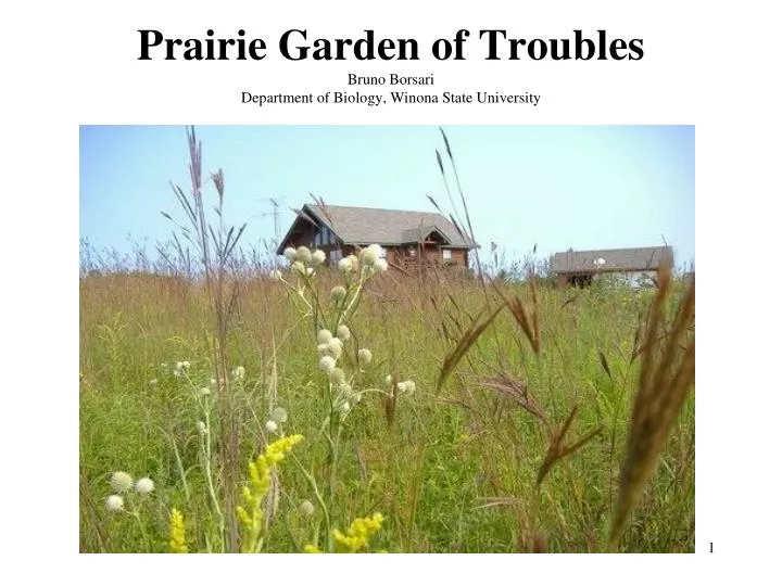prairie garden of troubles bruno borsari department of biology winona state university