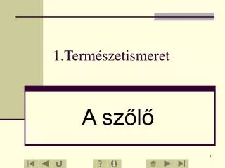 1 term szetismeret