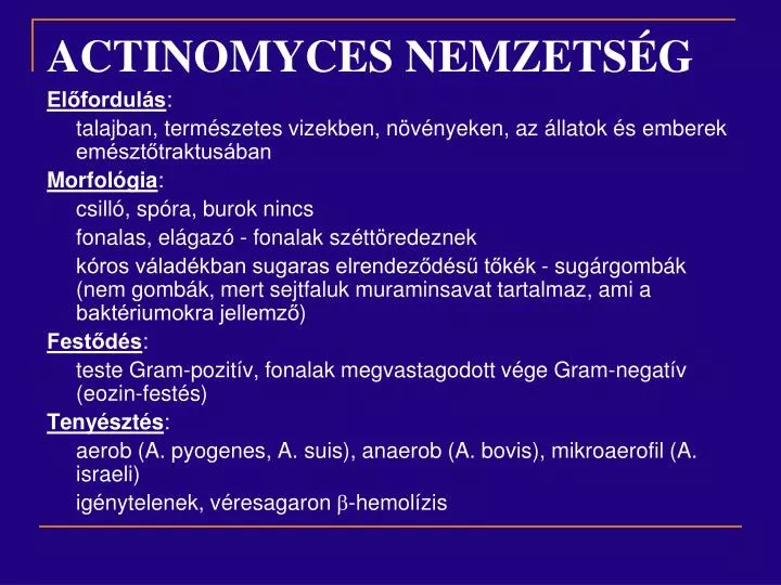 actinomyces nemzets g