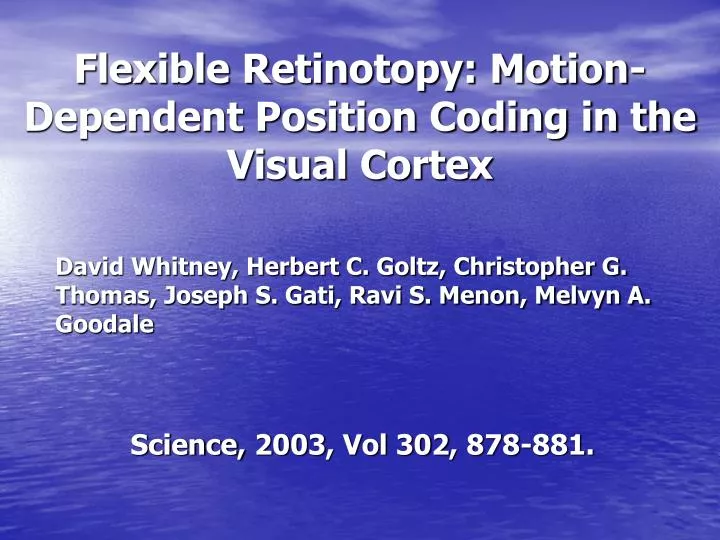 flexible retinotopy motion dependent position coding in the visual cortex