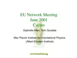 EU Network Meeting June 2001 Cactus