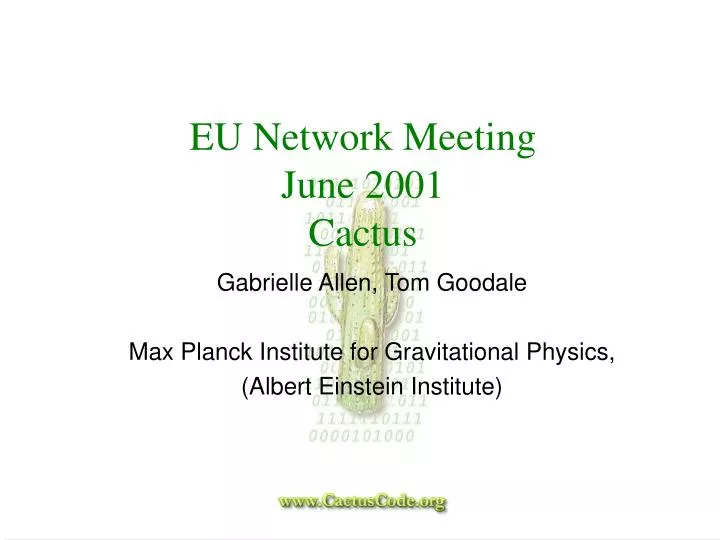 eu network meeting june 2001 cactus