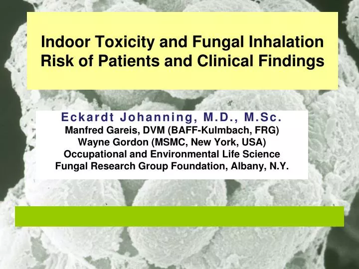 indoor toxicity and fungal inhalation risk of patients and clinical findings