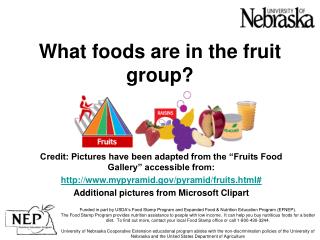 What foods are in the fruit group?