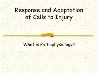 Response and Adaptation of Cells to Injury