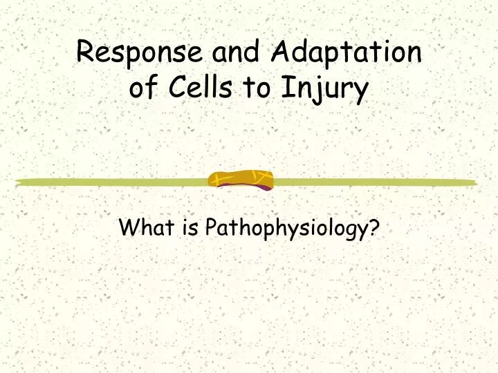 response and adaptation of cells to injury