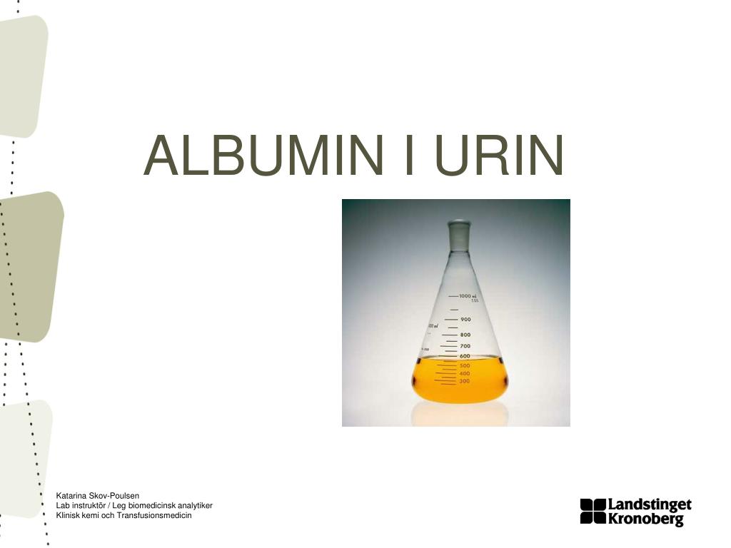PPT - ALBUMIN I URIN PowerPoint Presentation, free download - ID:1395342