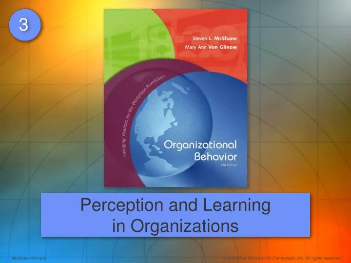 perception and learning in organizations