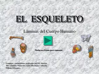 el esqueleto