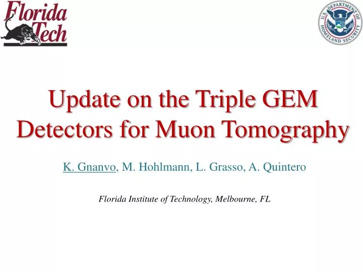 update on the triple gem detectors for muon tomography