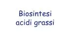 Biosintesi acidi grassi - slide 1