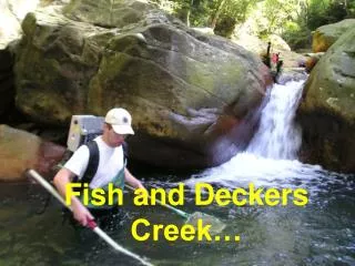 Fish and Deckers Creek…