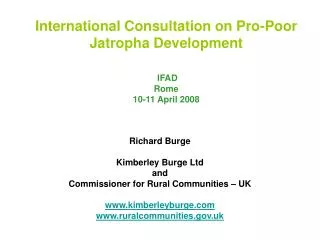 International Consultation on Pro-Poor Jatropha Development IFAD Rome 10-11 April 2008