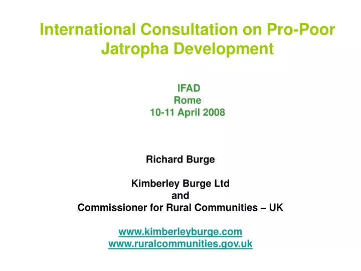 international consultation on pro poor jatropha development ifad rome 10 11 april 2008