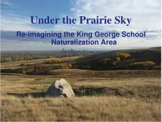 Under the Prairie Sky