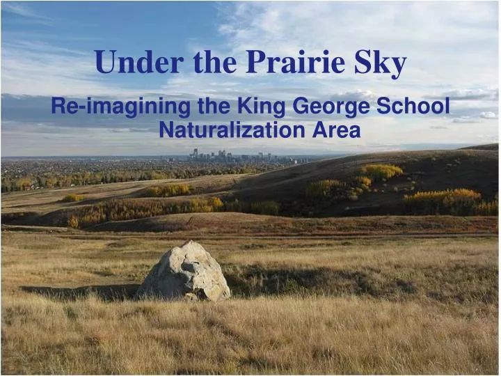 under the prairie sky