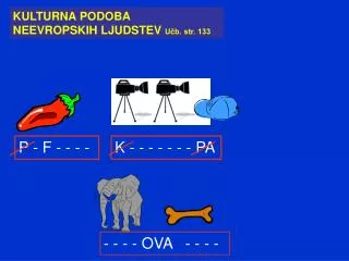 KULTURNA PODOBA NEEVROPSKIH LJUDSTEV Učb. str. 133