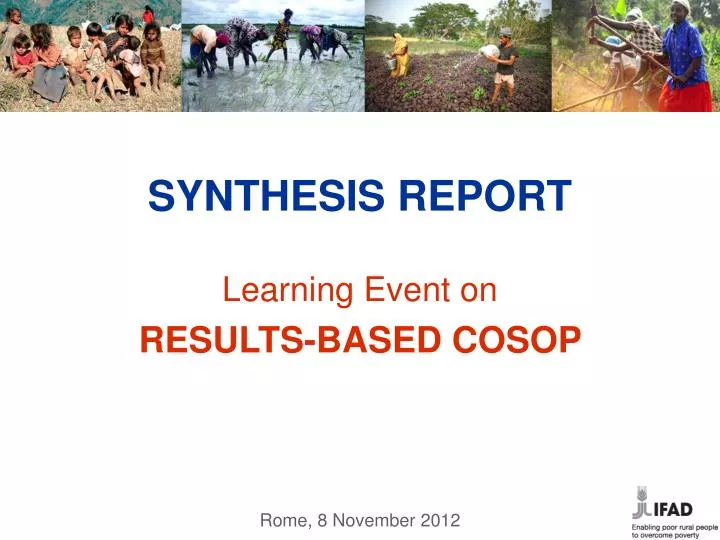 synthesis report