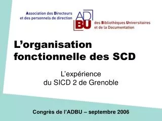 l organisation fonctionnelle des scd