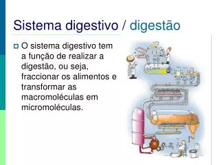 sistema digestivo digest o