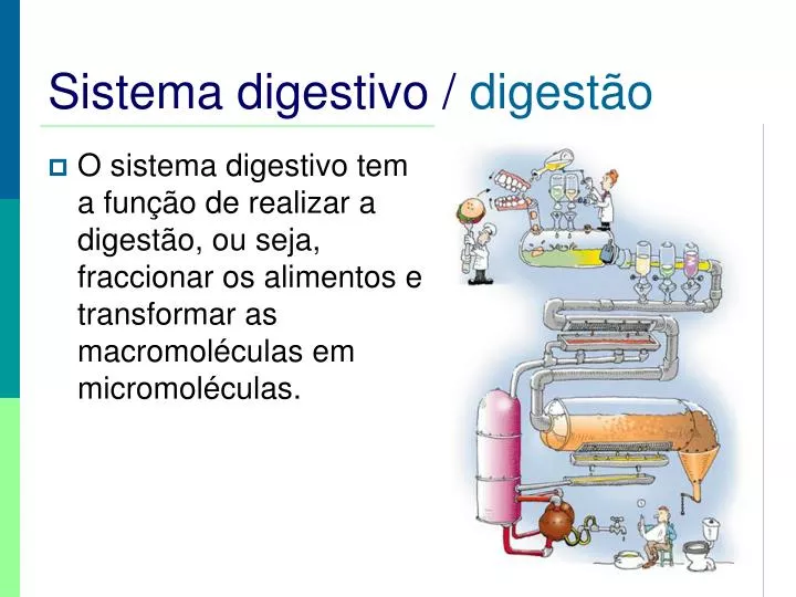 sistema digestivo digest o