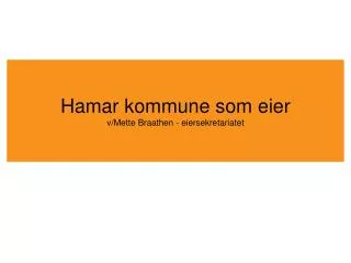 Hamar kommune som eier v/Mette Braathen - eiersekretariatet