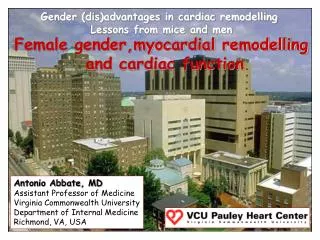 Gender (dis)advantages in cardiac remodelling Lessons from mice and men