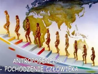 ANTROPOGENEZA - - POCHODZENIE CZŁOWIEKA