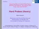 Theoretical Insights on Hard Probes in Heavy Ion Collisions - slide 1