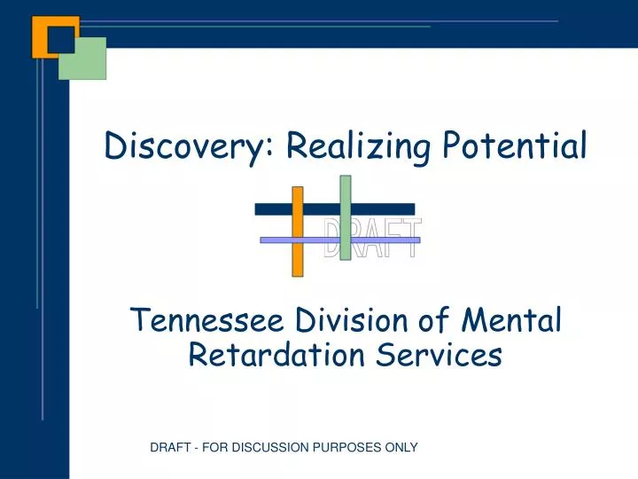 discovery realizing potential tennessee division of mental retardation services