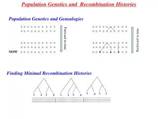 Population Genetics and Recombination Histories