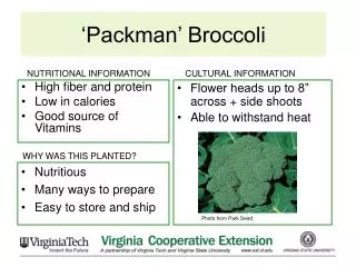 ‘Packman’ Broccoli
