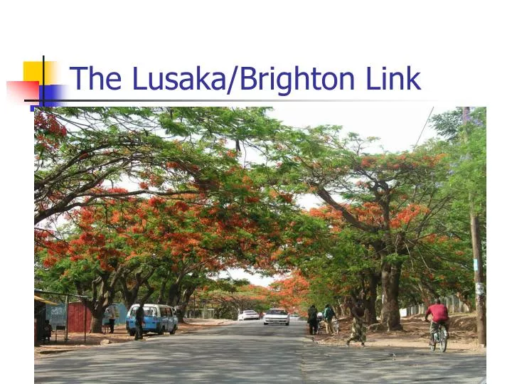 the lusaka brighton link