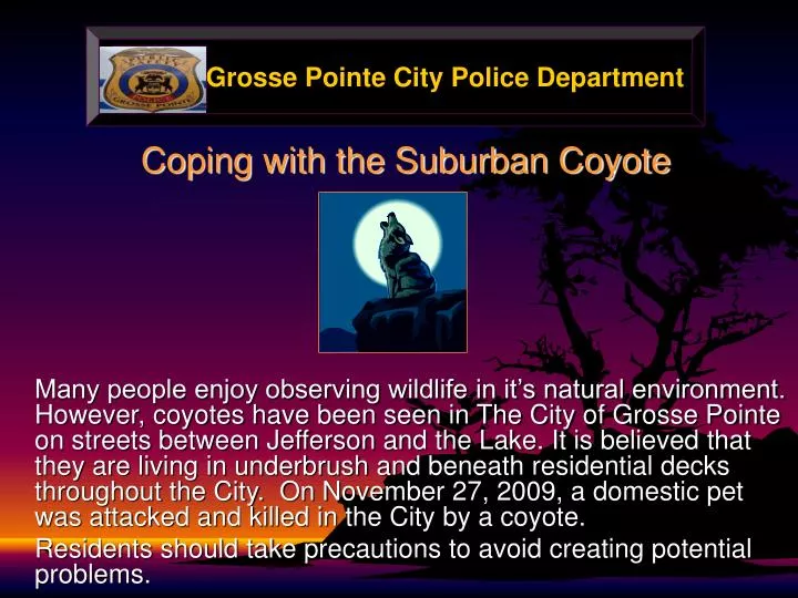 coping with the suburban coyote
