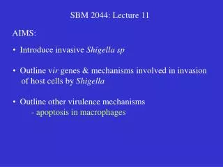 SBM 2044: Lecture 11