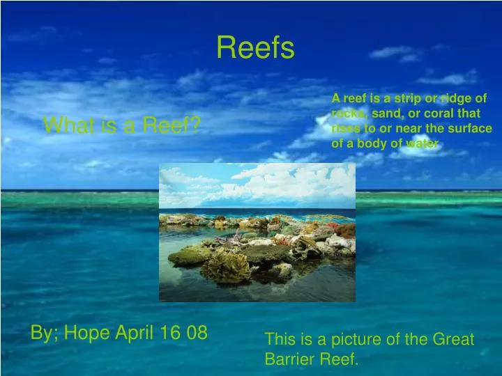reefs