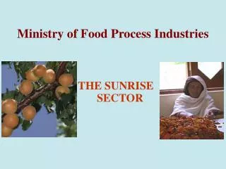 Ministry of Food Process Industries