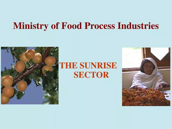 ministry of food process industries