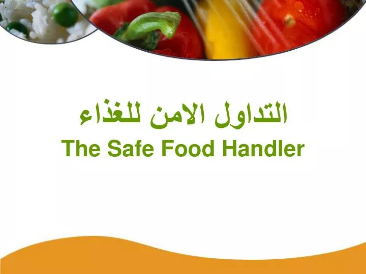the safe food handler
