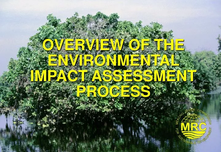 overview of the environmental impact assessment process