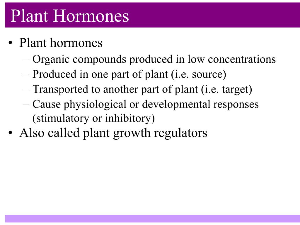 PPT - Plant Hormones PowerPoint Presentation, free download - ID:139789