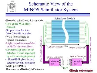 Schematic View of the MINOS Scintillator System