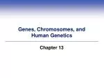 Genes, Chromosomes, and Human Genetics - slide 1