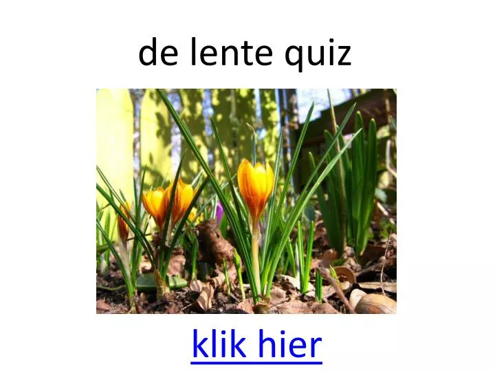 de lente quiz