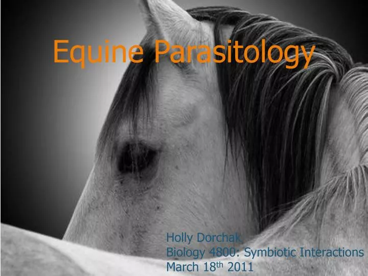 equine parasitology
