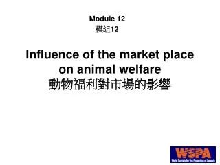 Influence of the market place on animal welfare 動物福利對市場的影響
