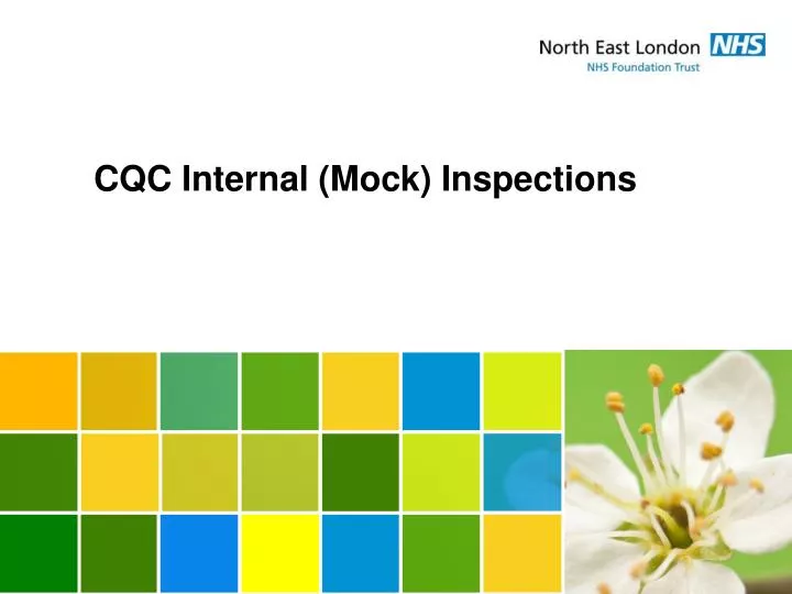 cqc internal mock inspections