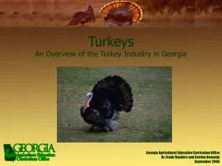 Turkeys An Overview of the Turkey Industry in Georgia