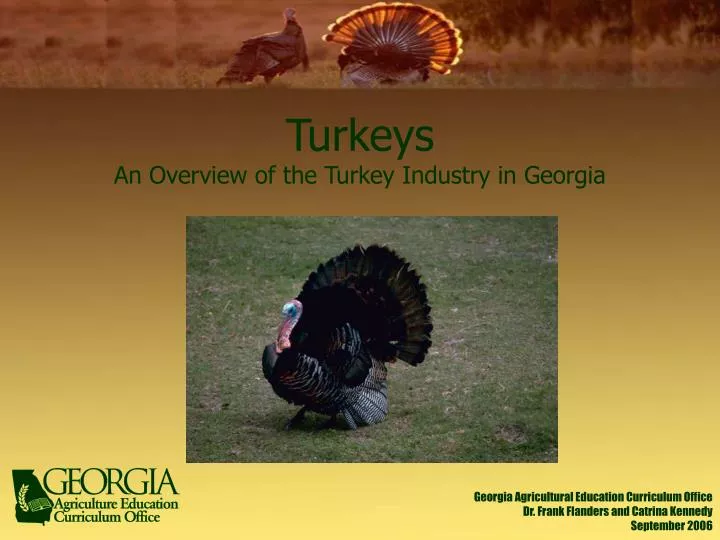 turkeys an overview of the turkey industry in georgia