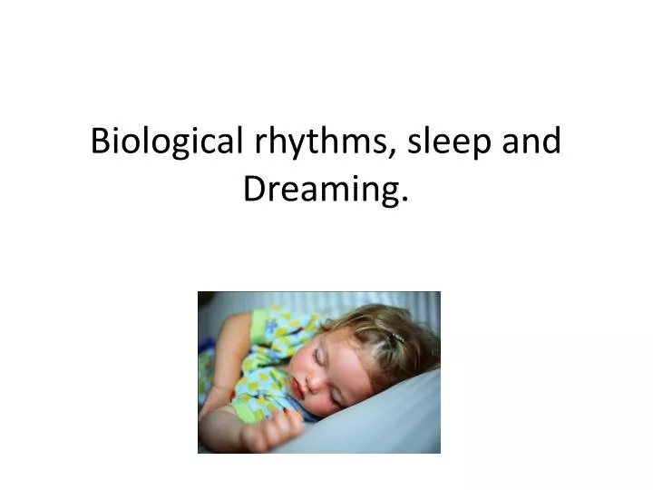 biological rhythms sleep and dreaming